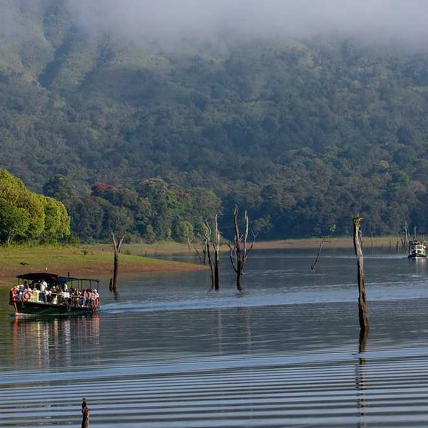 MUNNAR WITH THEKKADY SPECIAL.jpg